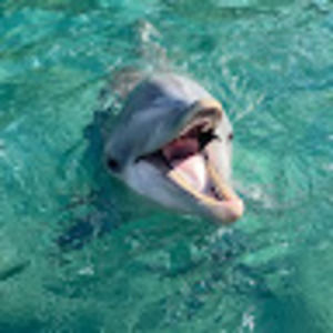 Meet your Posher, Cass